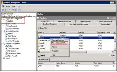 Database Management Console